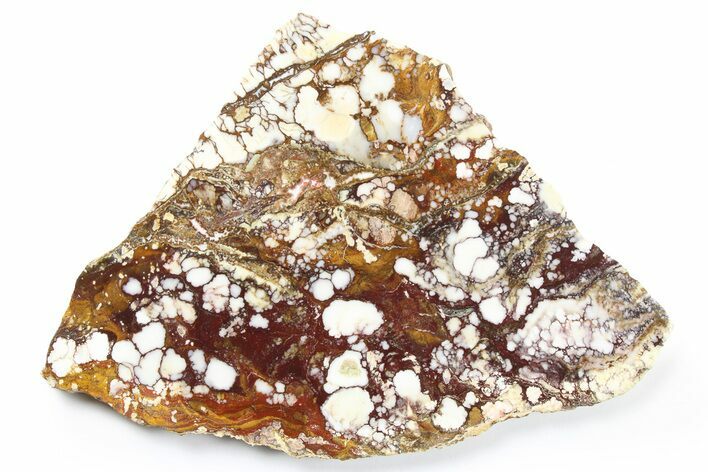 Polished Wild Horse Magnesite Slab - Arizona #264001